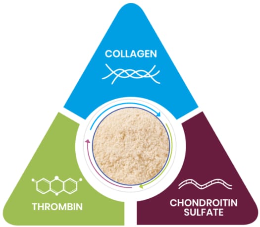 Cohesive and Stable Clot